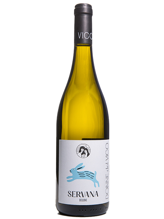 bottiglia di vino bianco in vetro con etichetta della cantina servana