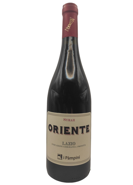 Bottiglia di vino rosso in vetro syrah oriente cantina i pampini